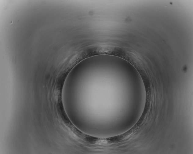 X0000089360227200706221207