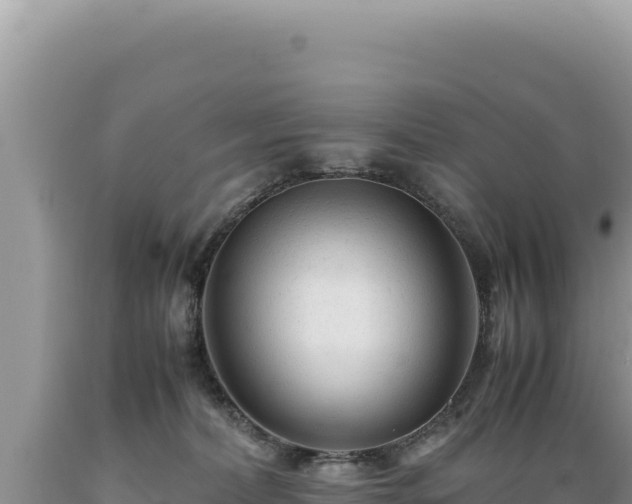 X0000089360228200706221207