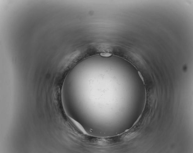 X0000089360229200706221207