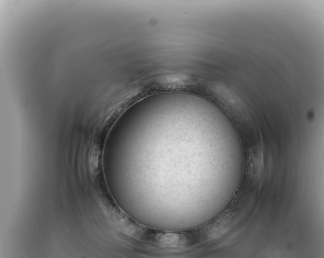 X0000089360230200706221207