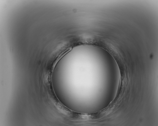 X0000089360233200706221207