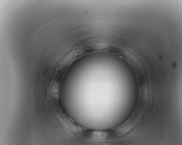 X0000089360234200706221207