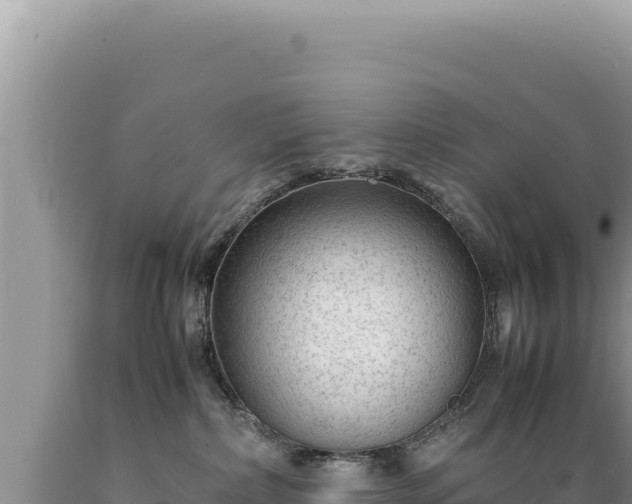 X0000089360236200706221206