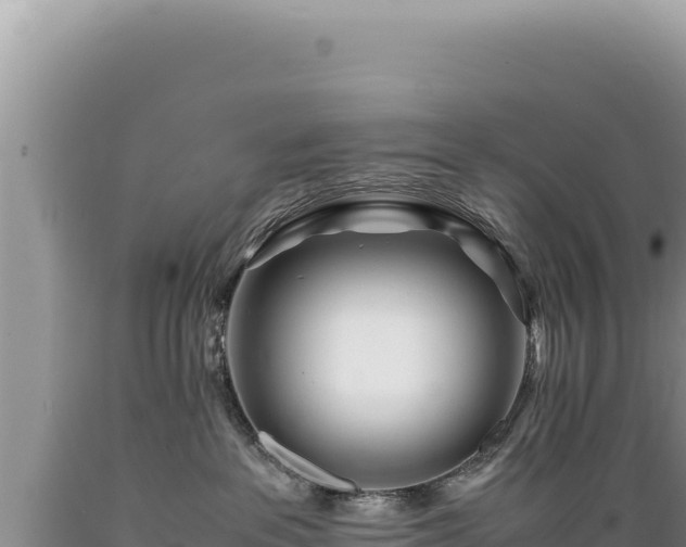 X0000089360237200706221206