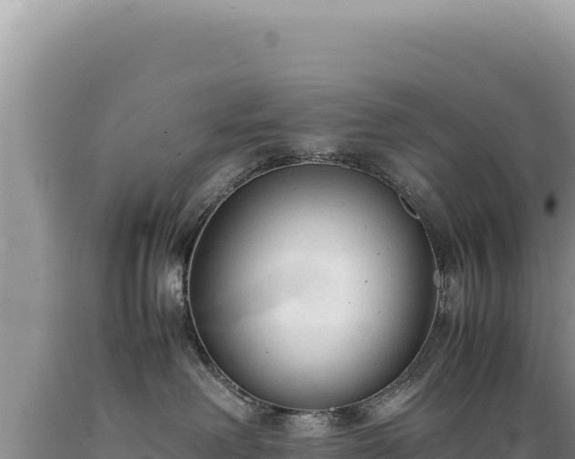 X0000089360238200706221206