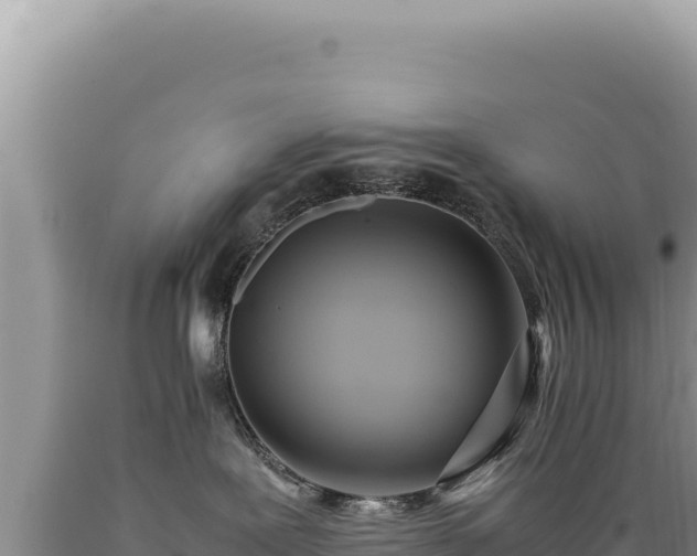 X0000089360239200706221206