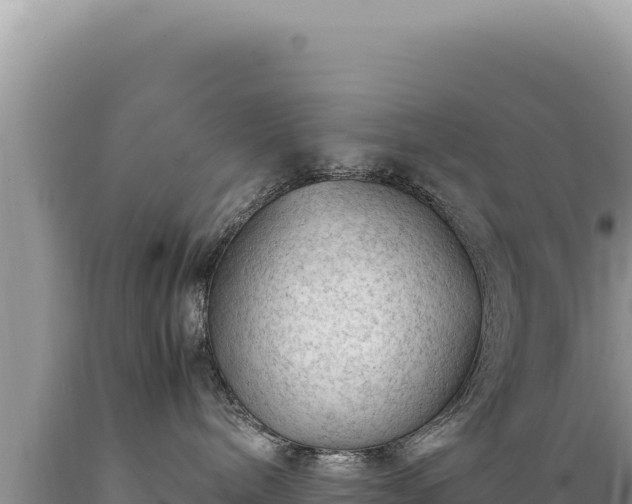 X0000089360240200706221206