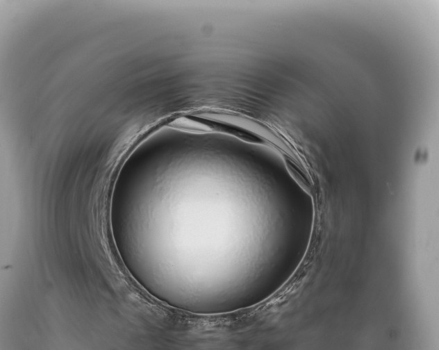 X0000089360241200706221206