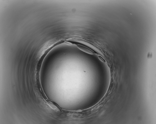 X0000089360242200706221206