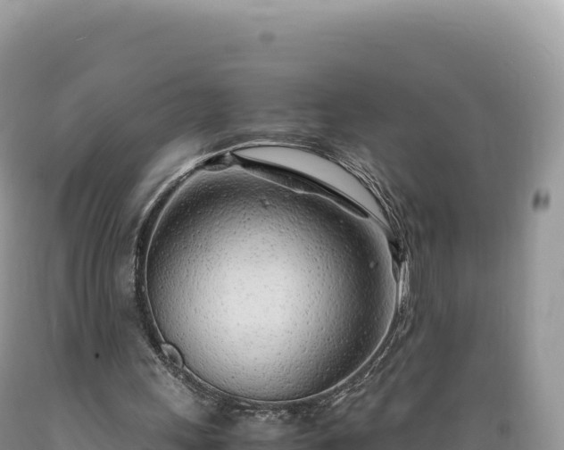 X0000089360243200706221206