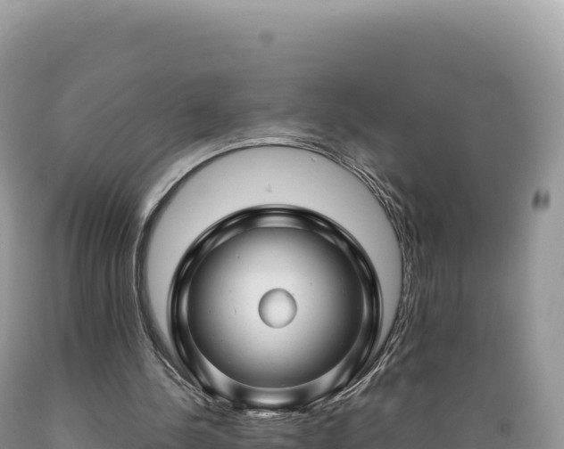 X0000089360244200706221206