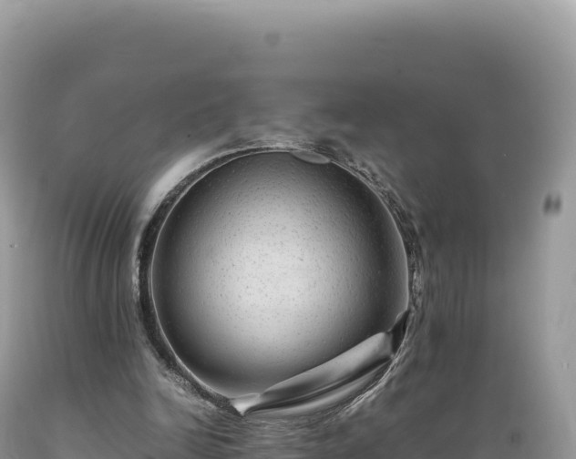 X0000089360246200706221206