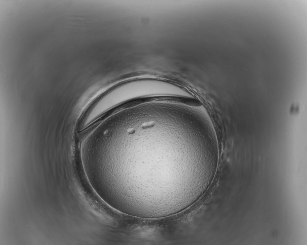 X0000089360247200706221206