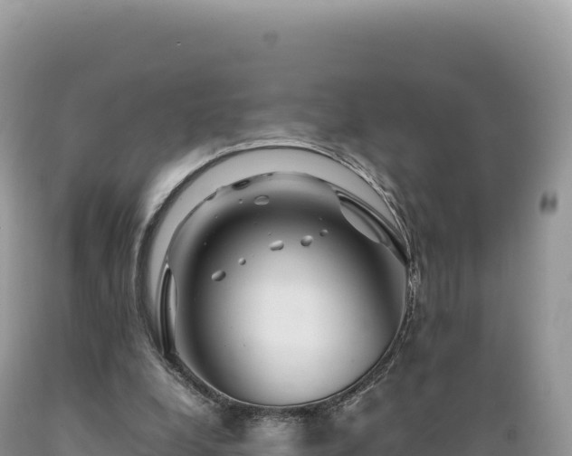 X0000089360248200706221206