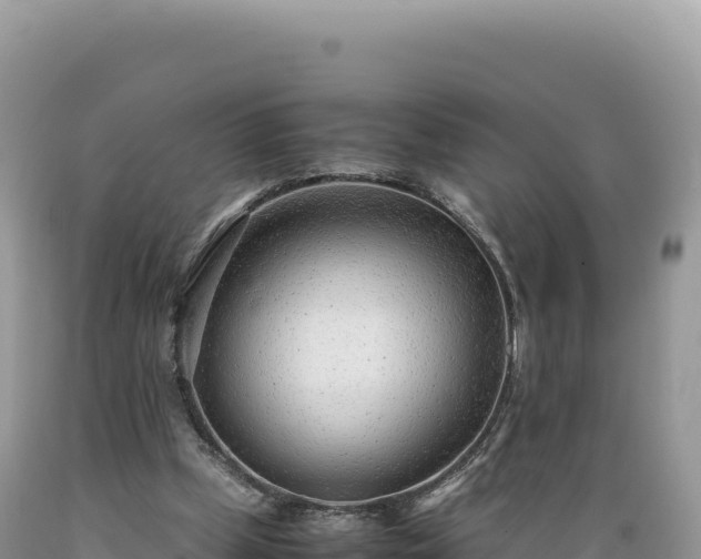 X0000089360249200706221206