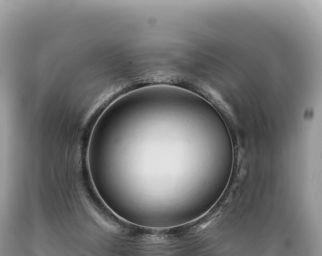 X0000089360250200706221206