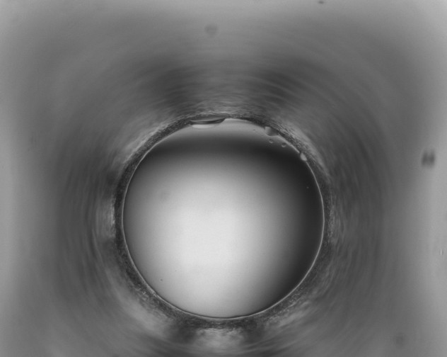 X0000089360251200706221206