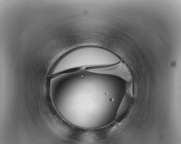 X0000089360252200706221206