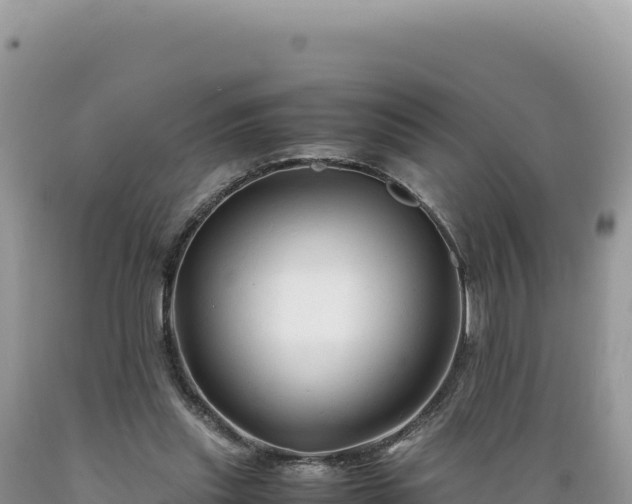 X0000089360253200706221206
