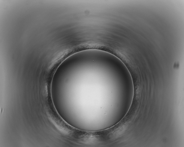 X0000089360254200706221206
