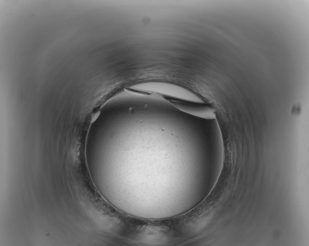 X0000089360255200706221206