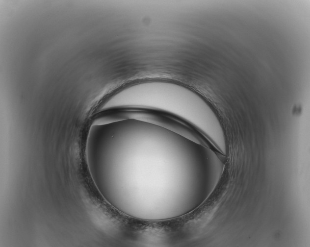 X0000089360256200706221206