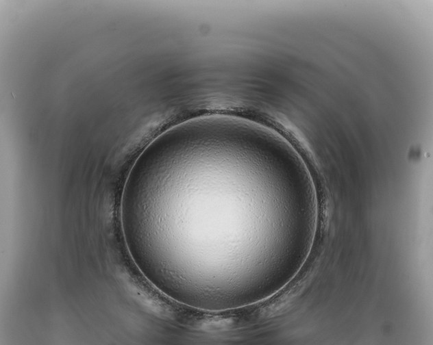 X0000089360257200706221206