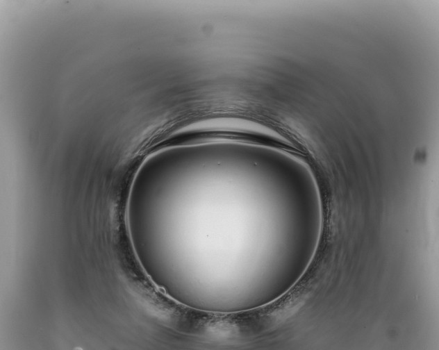 X0000089360258200706221206