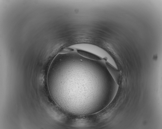 X0000089360259200706221206