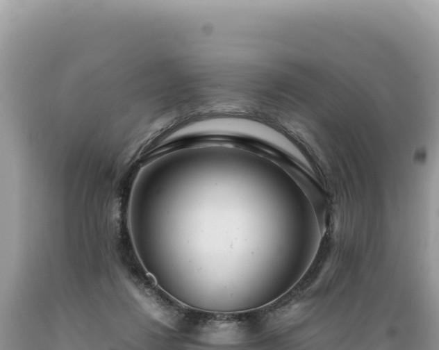X0000089360260200706221206