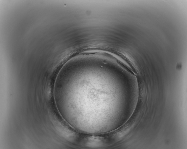 X0000089360261200706221206