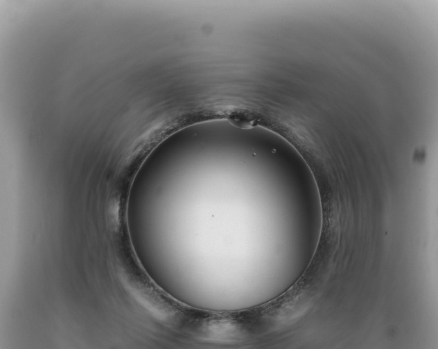 X0000089360262200706221206