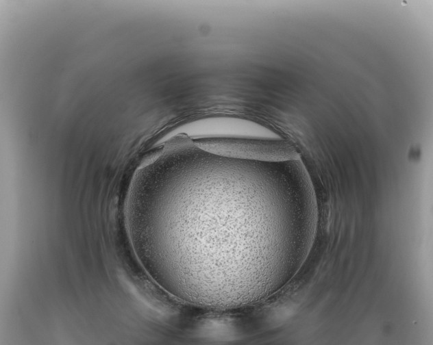 X0000089360263200706221206
