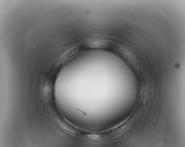 X0000089360265200706221206