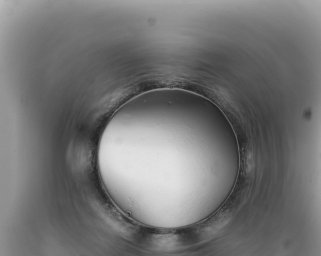 X0000089360266200706221206