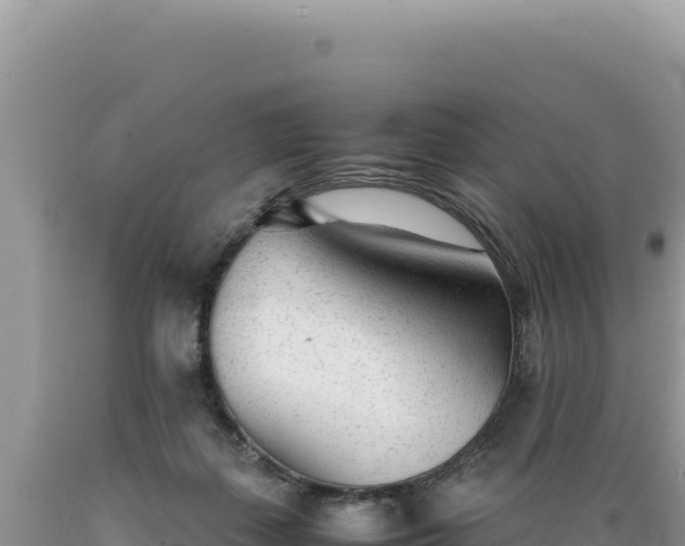 X0000089360267200706221206