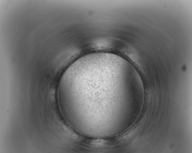 X0000089360269200706221206