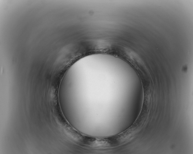 X0000089360270200706221206