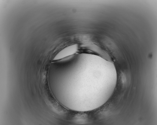 X0000089360271200706221206