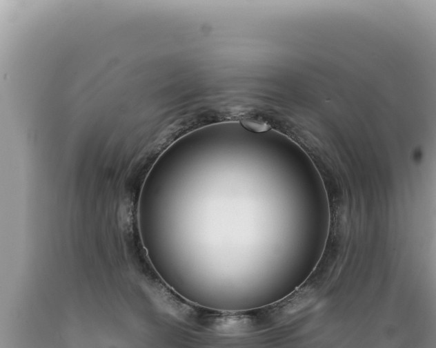 X0000089360274200706221206