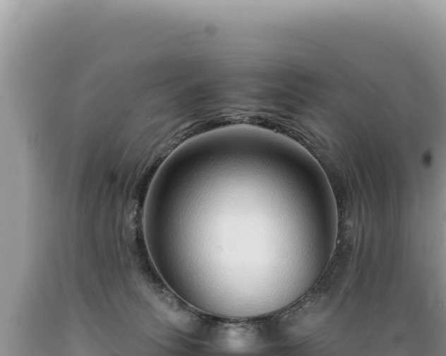 X0000089360275200706221206