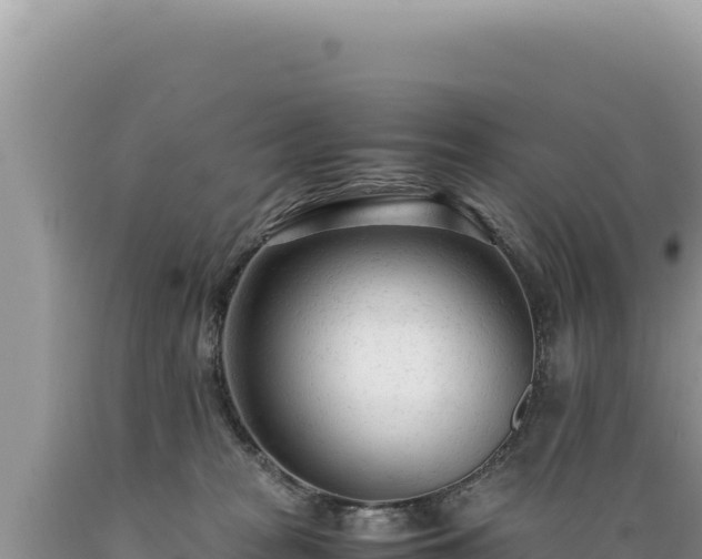 X0000089360277200706221206