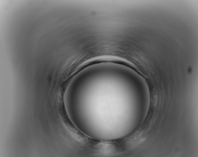 X0000089360280200706221206