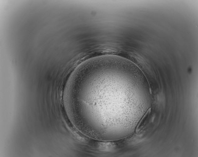X0000089360281200706221206