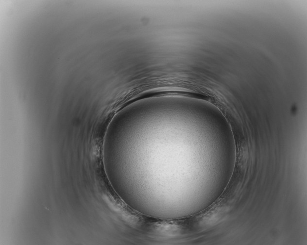X0000089360284200706221206
