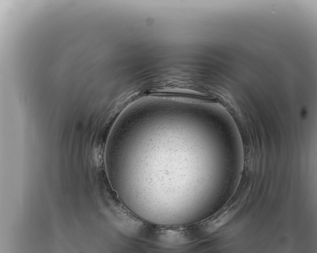 X0000089360285200706221206