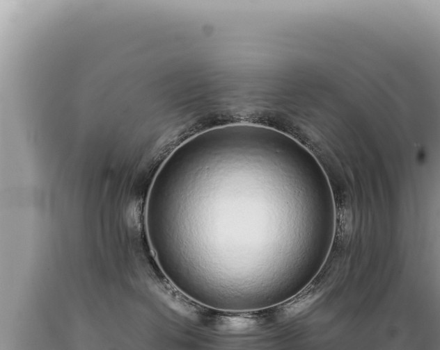 X0000089360286200706221206