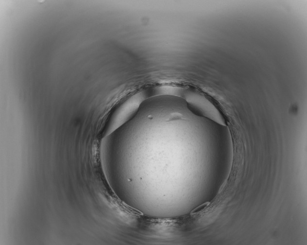 X0000089360288200706221206