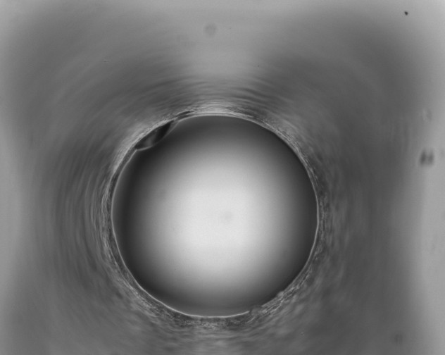 X0000089360289200706221206