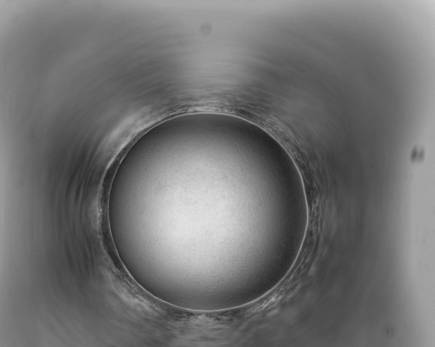 X0000089360290200706221206